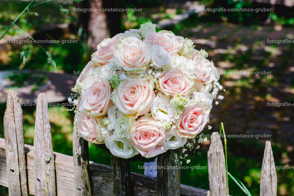 1021 | Fotografie Constance Gruber - Realisiert mit Pictrs.com