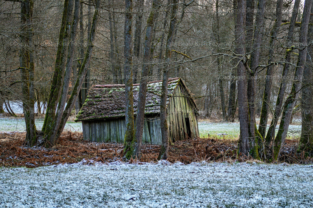 P1680917 | beatekidd-fotografie - Realisiert mit Pictrs.com