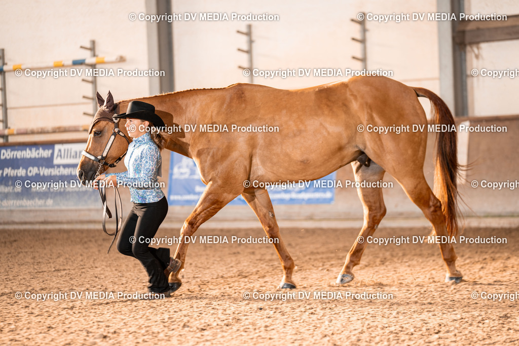 LM Heiligenwald Tag 1-36 | dv-media-shop - Realisiert mit Pictrs.com
