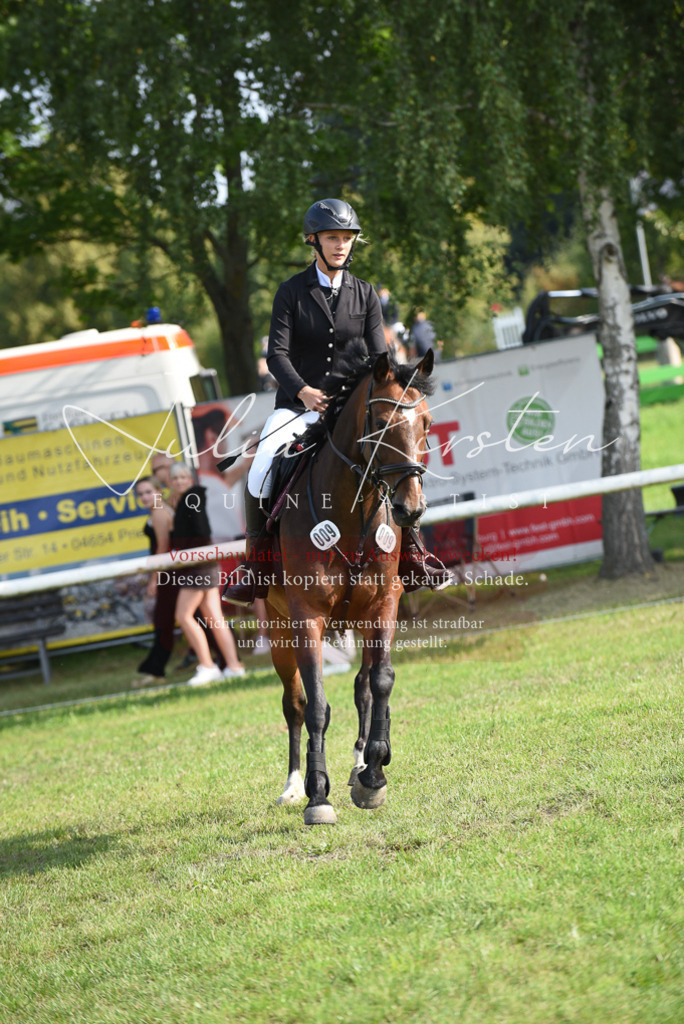 DSC_8687 | Pferde- und Turnierfotografie in Westsachsen. Pferdeportraits, Auftragszeichnungen und intuitive Kunst.