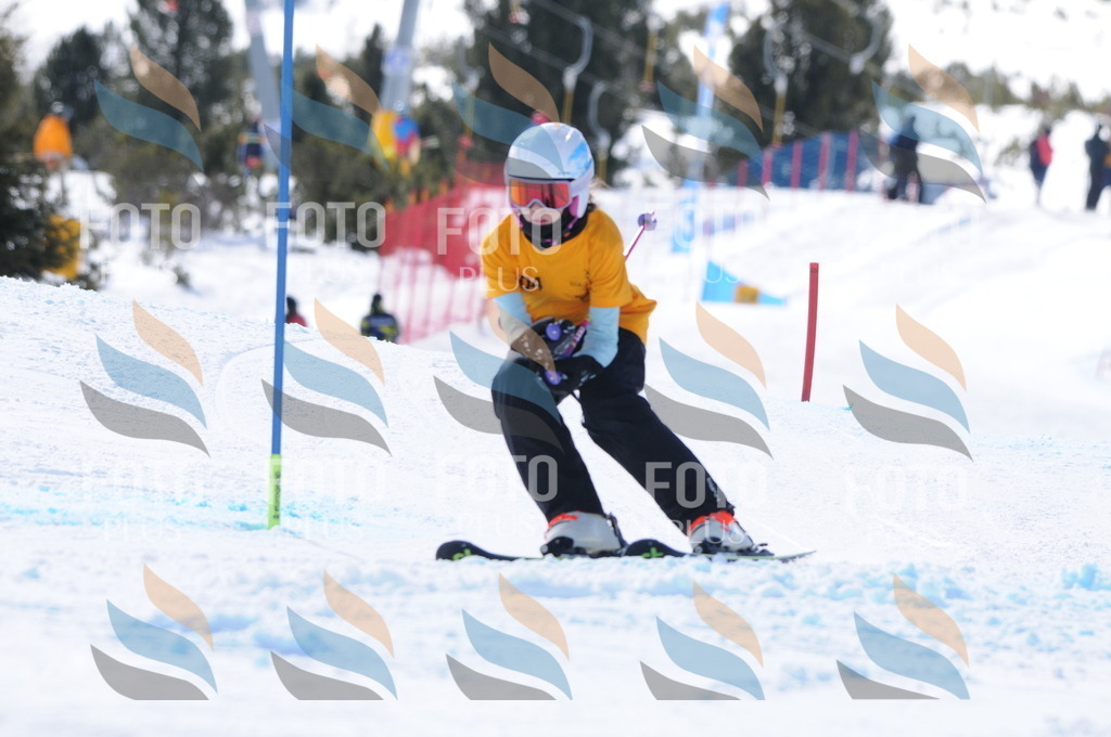 C9151 | holidayphoto