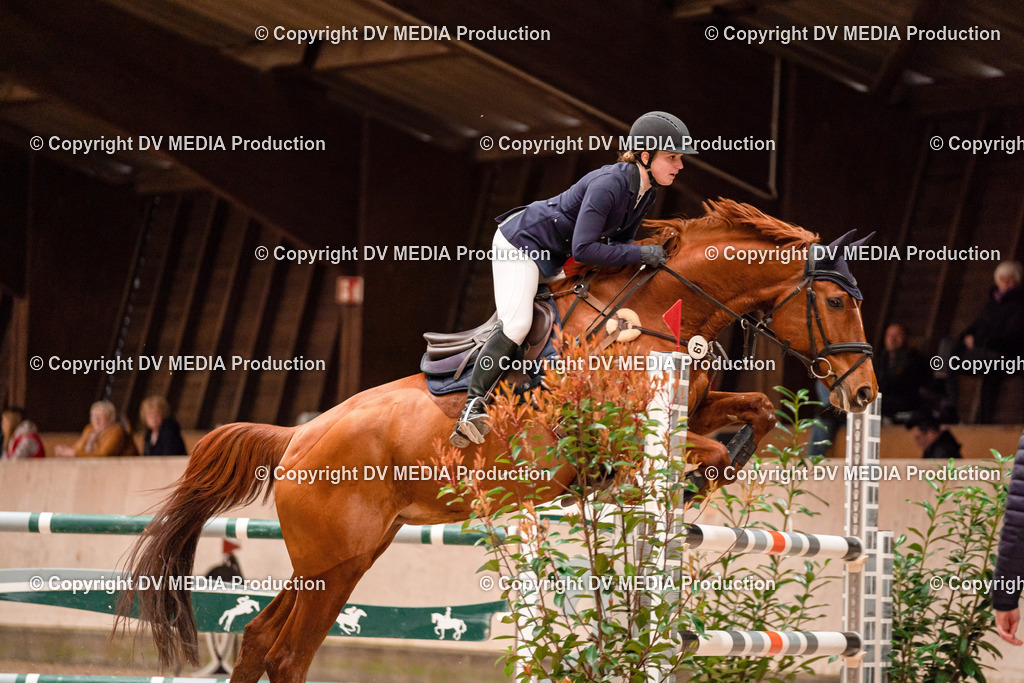 Springen Tag 1-417 | dv-media-shop - Realisiert mit Pictrs.com