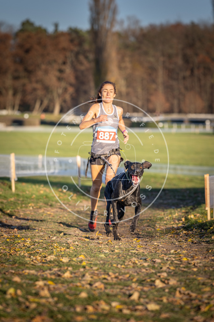 CaniXpix_DV3A4447 | Hundefotografie, Tierfotograf, Pfotenfotografie, Fotoshooting Hund, Hunde Portrait, Hundesport, Hundeportraits, Heideshooting, Hunde, Sportfotograf, Hundefotograf, Turnierhundsport, THS,  - Realisiert mit Pictrs.com