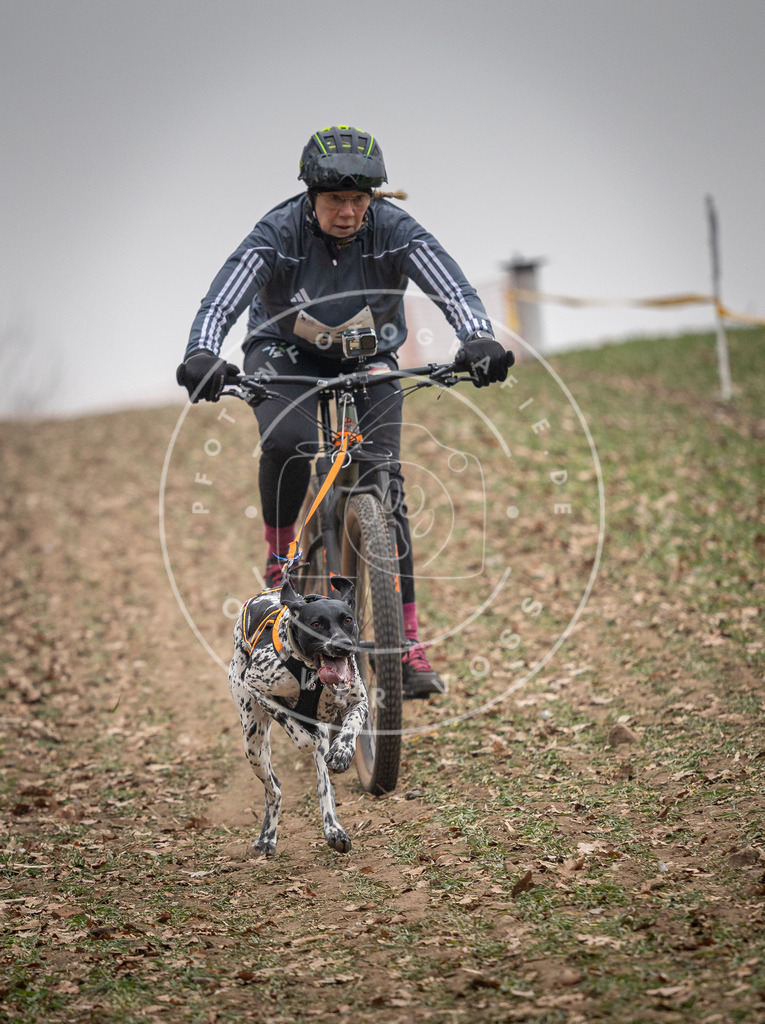 Pfotenfotografie_DV3A2435 | Hundefotografie, Tierfotograf, Pfotenfotografie, Fotoshooting Hund, Hunde Portrait, Hundesport, Hundeportraits, Heideshooting, Hunde, Sportfotograf, Hundefotograf, Turnierhundsport, THS,  - Realisiert mit Pictrs.com