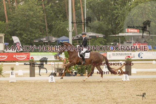 SW 4-774 | mandyhollmannphotographie