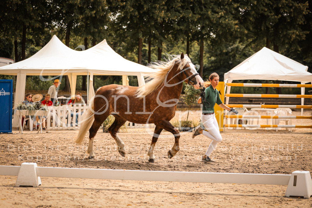 5.Sa00028 | Leoni Ertmer Photography - Realisiert mit Pictrs.com