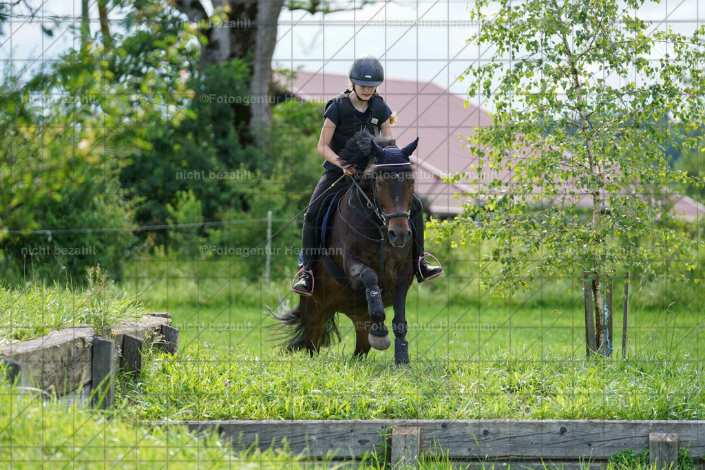 20240622-FAH07988 | Turnierfotografen Bayern, Reitsportbilder aus dem Geländekurs mit Felix Etzel auf dem Gut Waitzacker 2024