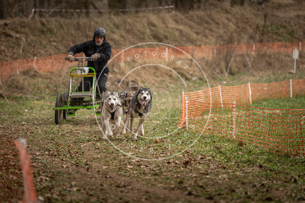 Pfotenfotografie_DV3A8389 | Hundefotografie, Tierfotograf, Pfotenfotografie, Fotoshooting Hund, Hunde Portrait, Hundesport, Hundeportraits, Heideshooting, Hunde, Sportfotograf, Hundefotograf, Turnierhundsport, THS,  - Realisiert mit Pictrs.com