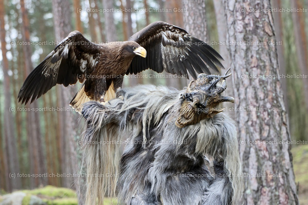 2X5A4370 | fotos-sportlich-belichtet - Realisiert mit Pictrs.com