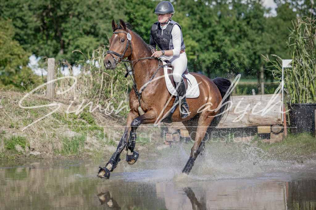 20250906-_3LI6944 | Tierfotografie Pferde, Hunde, Katzen, Haustiere.
Turnierfotografie Reitturniere, Reiten, Springreiten, Dressur in Hanau, dem Main-Kinzig-Kreis und dem Rhein-Main- Gebiet um Frankfurt