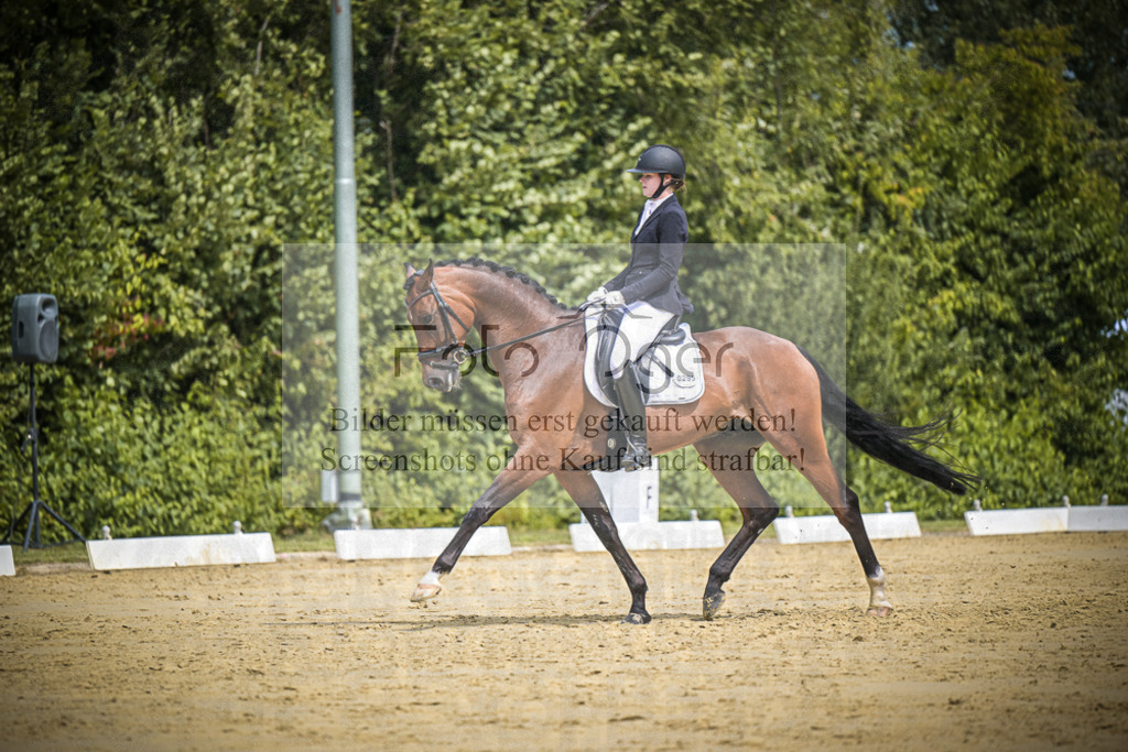 DOS_2904 | Entdecke hochwertige Reitturnierfotos von Foto Oger. Professionell, emotional und authentisch – jetzt Lieblingsmomente im Shop bestellen.Deutschlandweite Turnierfotografie. - Realisiert mit Pictrs.com