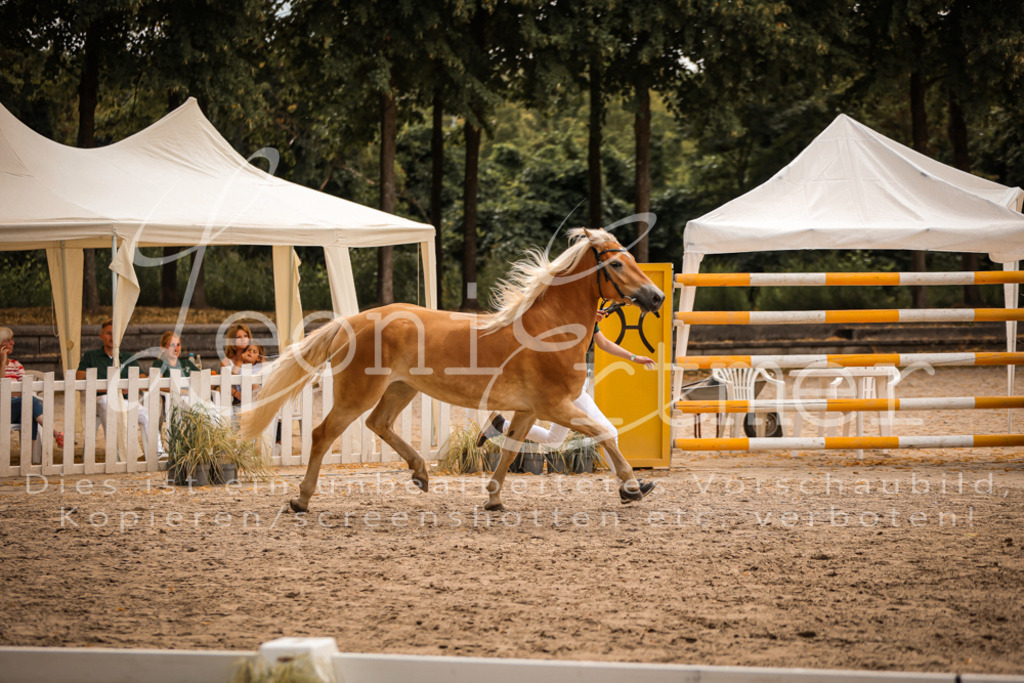 06.So00108 | Leoni Ertmer Photography - Realisiert mit Pictrs.com