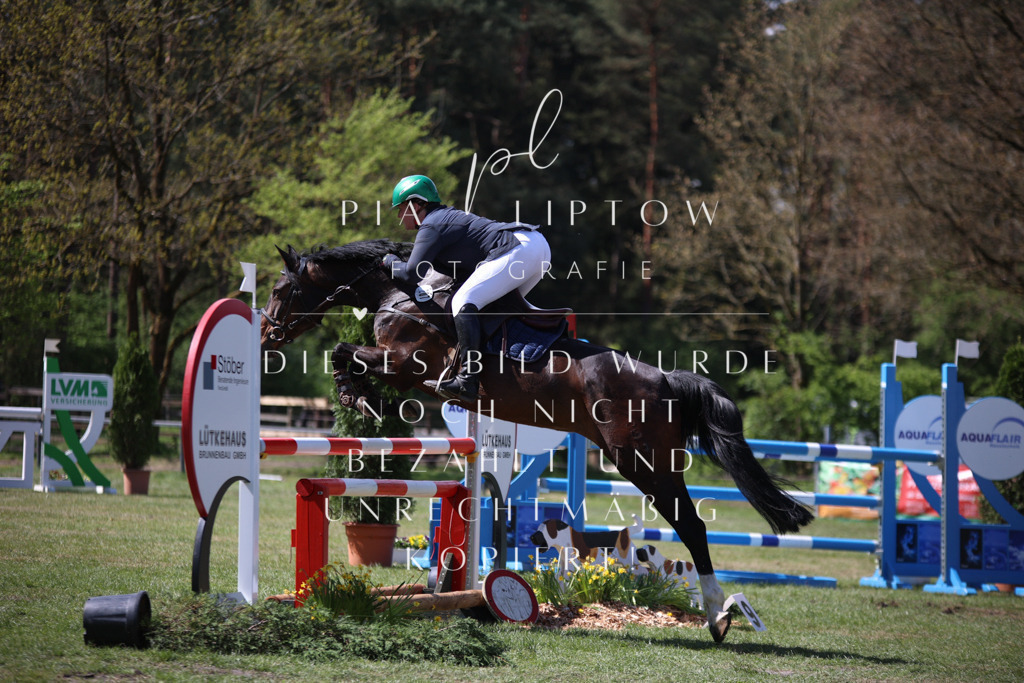 IMGT1155 | pl-fotografie