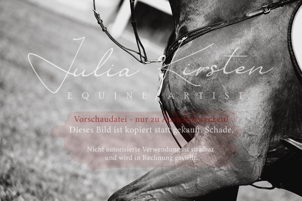 DSC_2662 | Pferde- und Turnierfotografie in Westsachsen. Pferdeportraits, Auftragszeichnungen und intuitive Kunst.