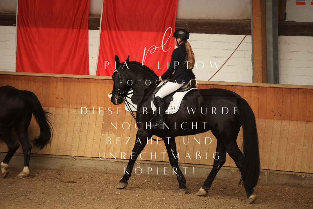 IMGT5666 | pl-fotografie