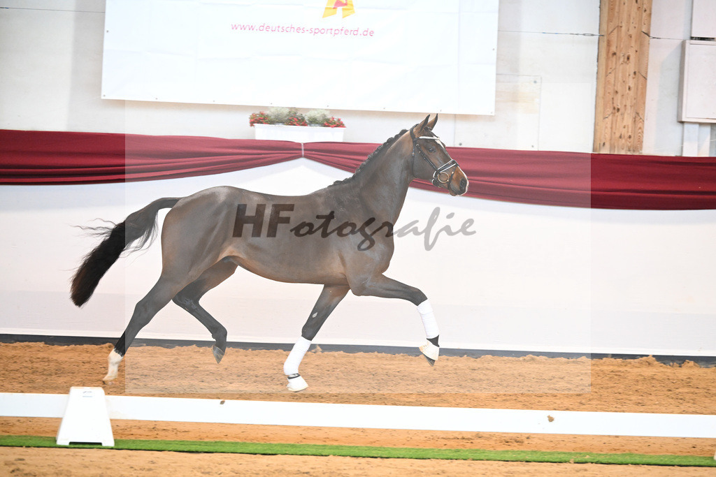 Kat-Nr. 61 v. Goldberg_Reglauer_66222021 | hf-fotografie - Realisiert mit Pictrs.com
