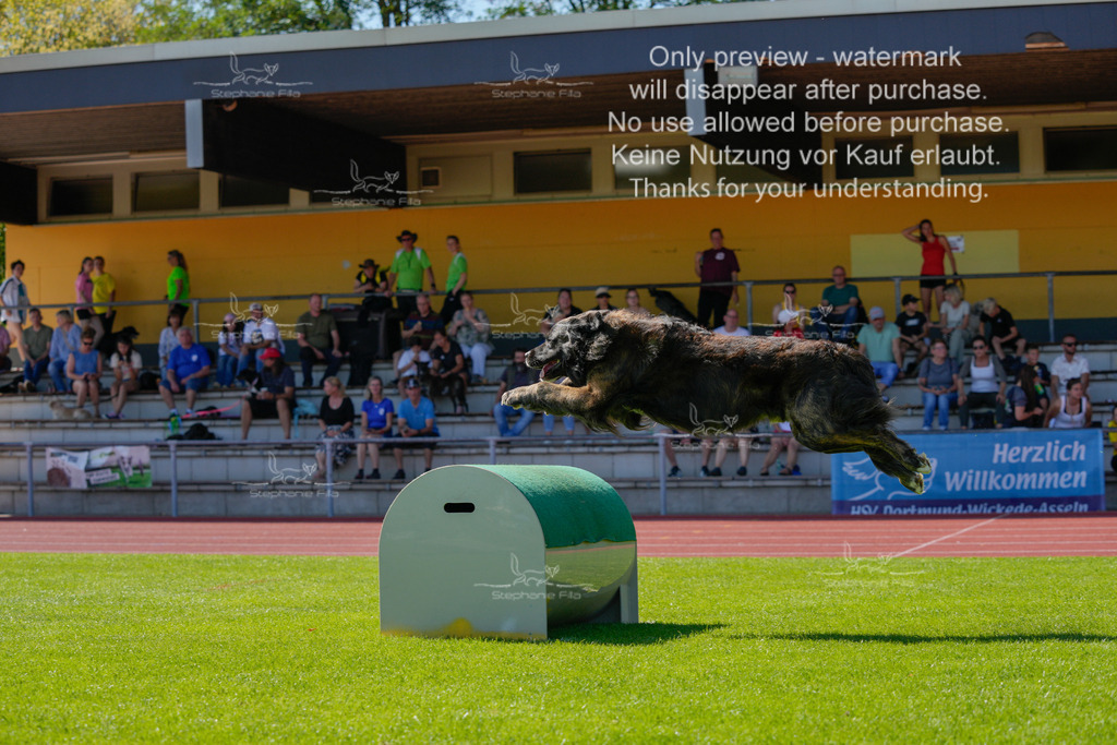 Sonntag_VK Hindernis (562 von 671) | stephaniefillaphotographie - Realisiert mit Pictrs.com