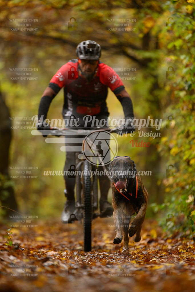 MompixPhotography_CD7S_DI_Bike-19 | mompixphotography