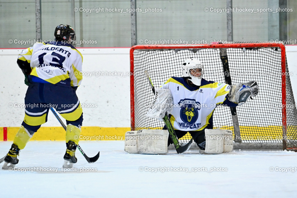 BST_6610 | hockey sports photos, Pressefotos, Sportfotos, hockey247, win 2day icehockeyleague, Handball Austria, Floorball Austria, ÖVV, Kärntner Eishockeyverband, KEHV, KFV, Kärntner Fussballverband, Österreichischer Volleyballverband, Alps Hockey League, ÖFB, 