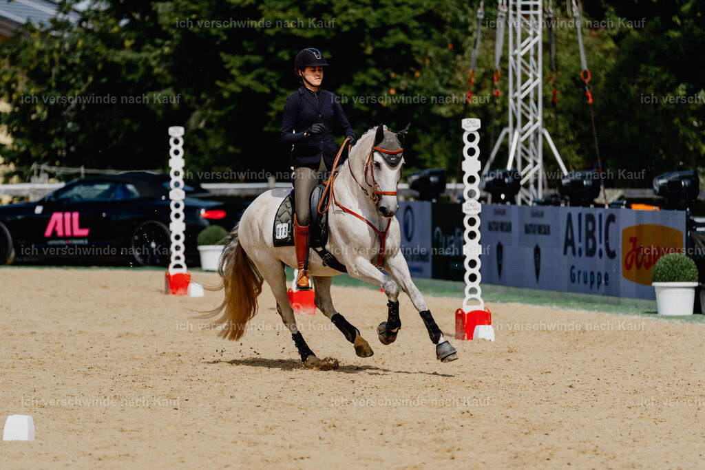 Svea13FHC2025-2856 | working equitationturnier fotograf videograf stoibphotography marixx film working equitation deutschland reitsport turnierfotografie eventfotografie equestrian events