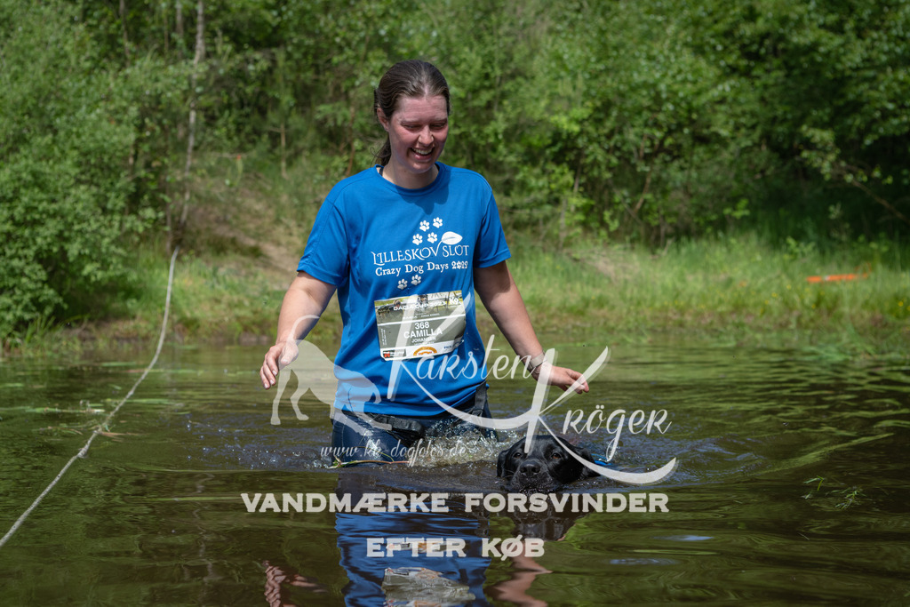 1140DKK990814 | kk-dogfotos
