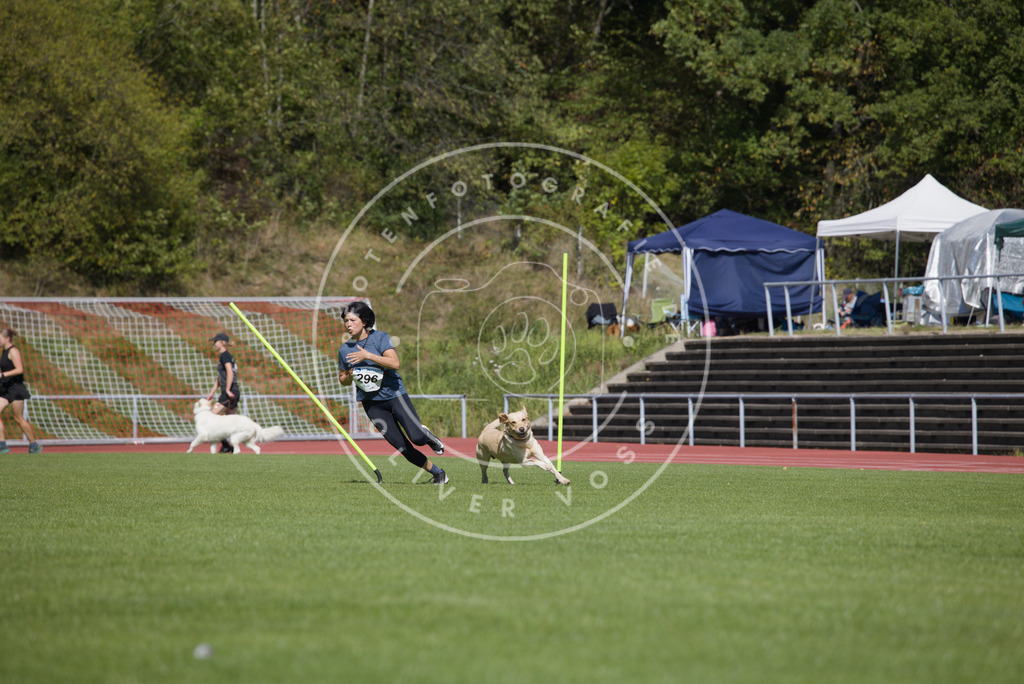 0L8A7071 | Hundefotografie, Tierfotograf, Pfotenfotografie, Fotoshooting Hund, Hunde Portrait, Hundesport, Hundeportraits, Heideshooting, Hunde, Sportfotograf, Hundefotograf, Turnierhundsport, THS,  - Realisiert mit Pictrs.com