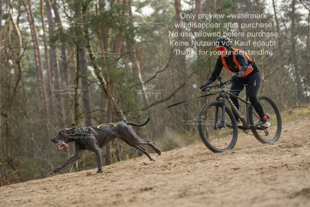 Bike1-375 | stephaniefillaphotographie - Realisiert mit Pictrs.com