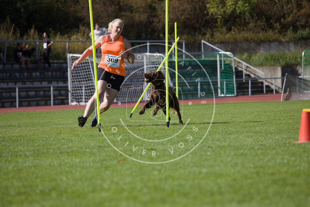 0L8A8098 | Hundefotografie, Tierfotograf, Pfotenfotografie, Fotoshooting Hund, Hunde Portrait, Hundesport, Hundeportraits, Heideshooting, Hunde, Sportfotograf, Hundefotograf, Turnierhundsport, THS,  - Realisiert mit Pictrs.com