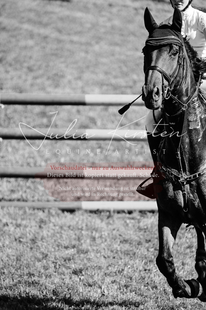 DSC_1887 | Pferde- und Turnierfotografie in Westsachsen. Pferdeportraits, Auftragszeichnungen und intuitive Kunst.