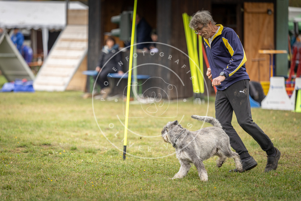 Pfotenfotografie_DV3A5079 | Hundefotografie, Tierfotograf, Pfotenfotografie, Fotoshooting Hund, Hunde Portrait, Hundesport, Hundeportraits, Heideshooting, Hunde, Sportfotograf, Hundefotograf, Turnierhundsport, THS,  - Realisiert mit Pictrs.com