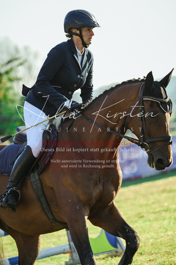 DSC_3832 | Pferde- und Turnierfotografie in Westsachsen. Pferdeportraits, Auftragszeichnungen und intuitive Kunst.