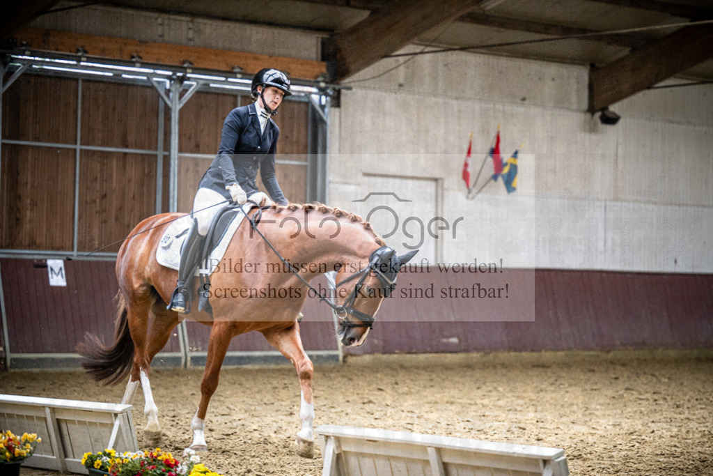 DOS_1585 | Reitturnier Lüdinghausen - Realisiert mit Pictrs.com