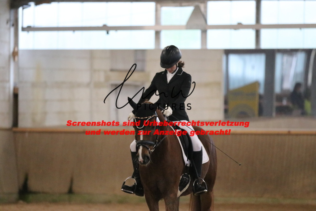 IMG_3631 | lmwpictures - Realisiert mit Pictrs.com