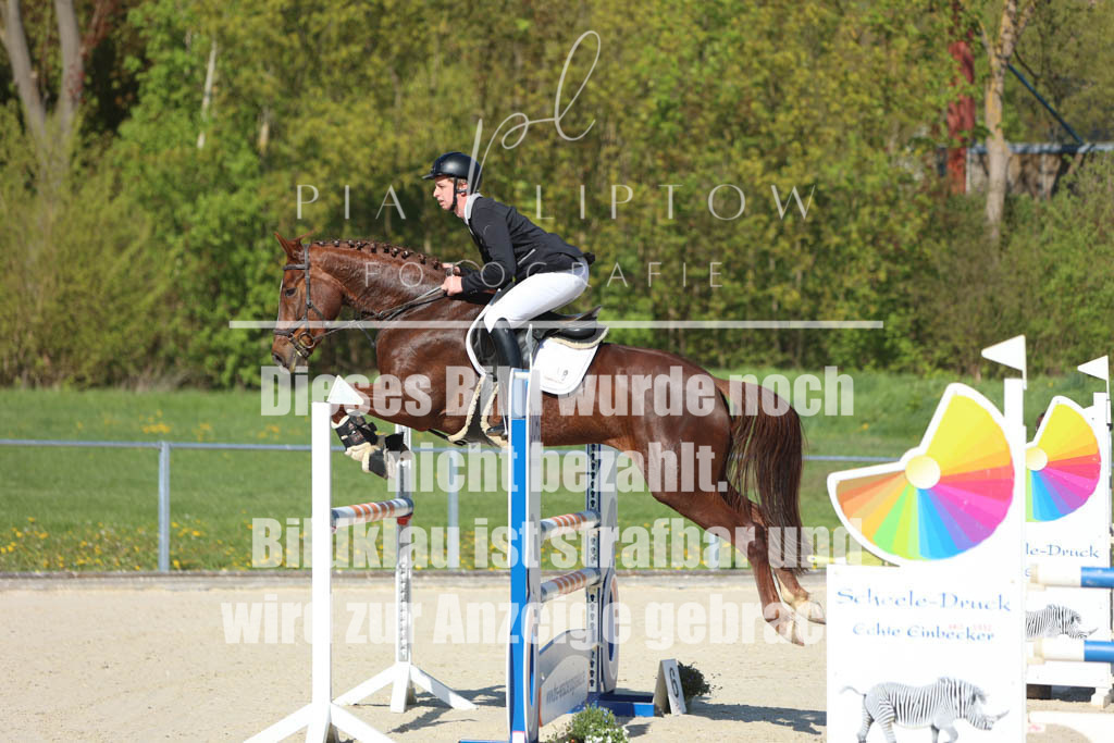 IMGM2417 | pl-fotografie