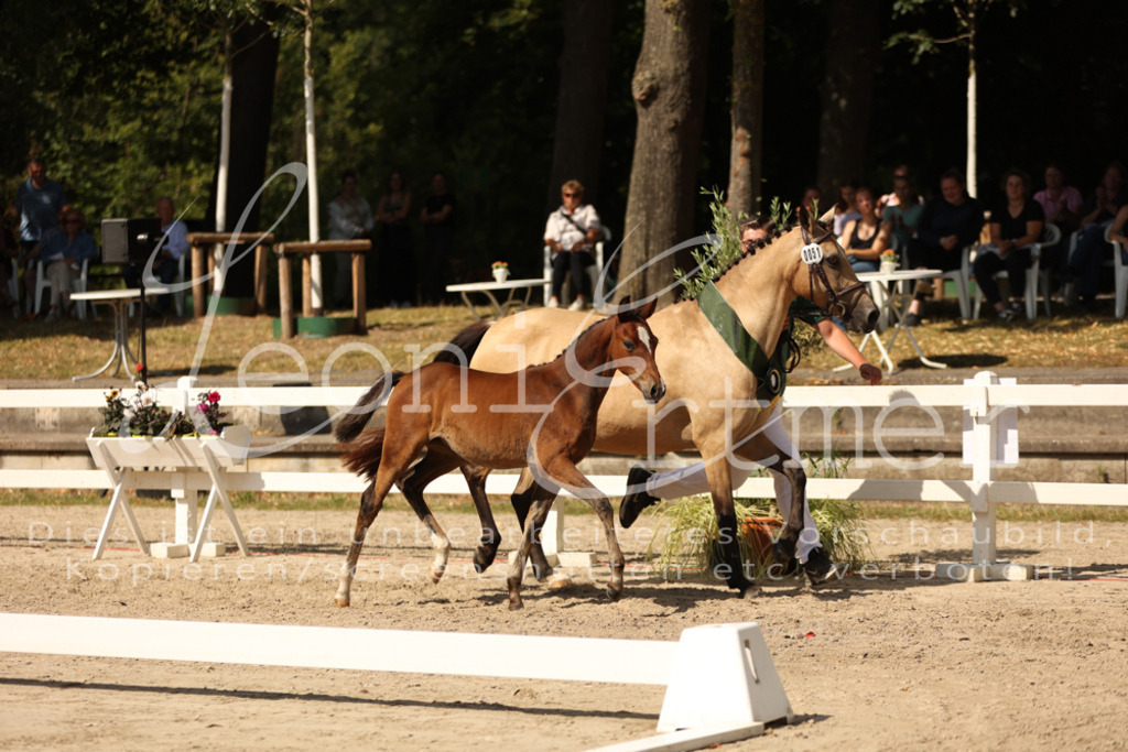 08.DoRPS00087 | Leoni Ertmer Photography - Realisiert mit Pictrs.com