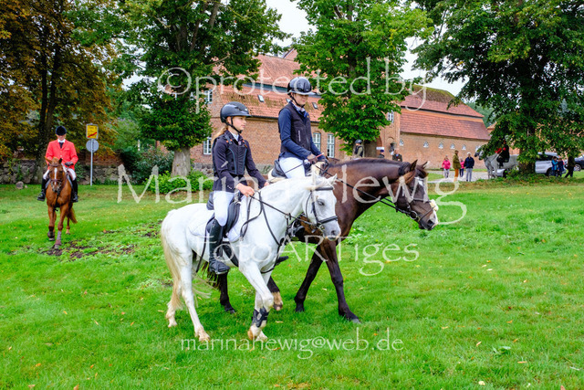 Jagd Kletkamp 26-9467_MarinaHewig | Fotografie, FotoArt, PferdesportArt, Pferdesportfotografie, Landschaftsfotografie, Reisefotografie, Reise, Pferde - Realisiert mit Pictrs.com