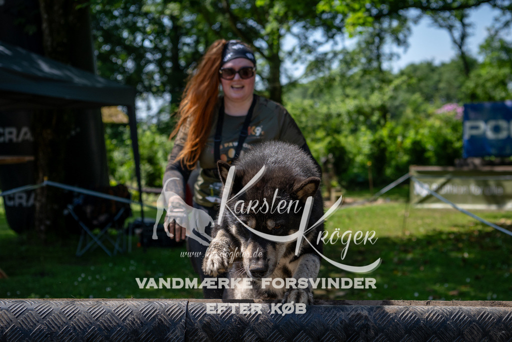 1218_ZZ90686 | kk-dogfotos