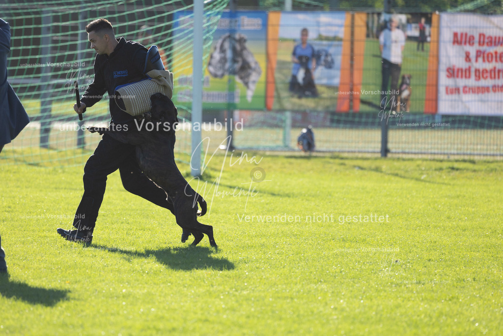 _16A4889 | Einzigartige Fotos von Hunden & Menschen –Actionfotos, Portraits, Vereinsaufnahmen & Paarshootings – authentisch, lebendig & mit Herz.