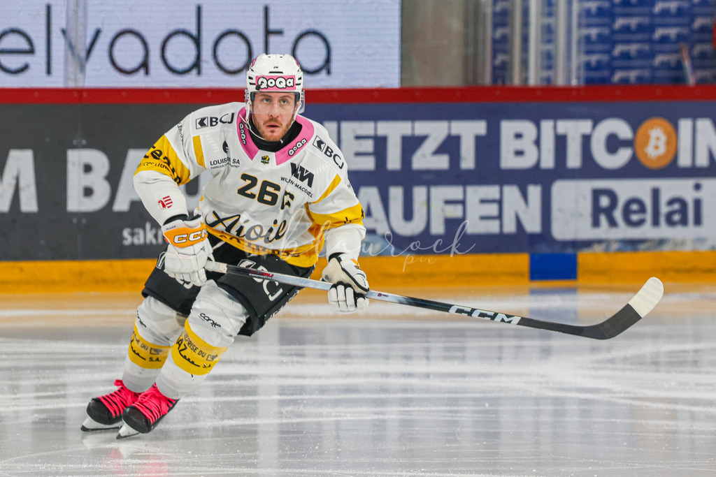 EHCB vs HCA 20260127_wb-9143 | Sportbilder, Sportfotograf, Hochzeits- und Eventfotografin, Flugshows, Portraits und Tiershooting, Aviation, Downhill, Nationalleague, Swissleague, International