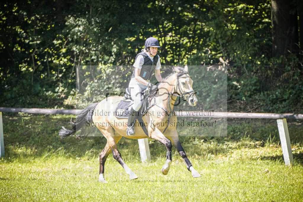 DOS_3746 | Entdecke hochwertige Reitturnierfotos von Foto Oger. Professionell, emotional und authentisch – jetzt Lieblingsmomente im Shop bestellen.Deutschlandweite Turnierfotografie. - Realisiert mit Pictrs.com