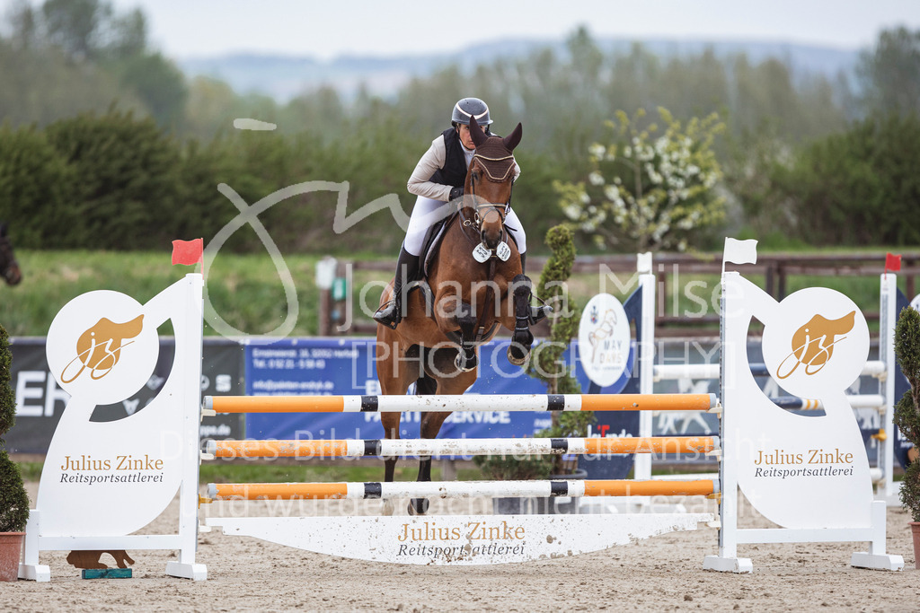 250417_Springpferde-L1-277 | Deine schönsten Turniermomente als professionelle Fotos! Entdecke hochwertige Pferdesport-Fotografie im Online-Shop. Jetzt Fotos finden & bestellen!