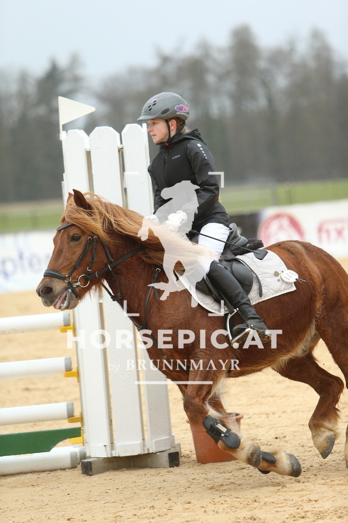 DL2Q1161 | Willkommen bei Brunnmayr - Design & Fotografie – Ihrem Spezialisten für Reitturniere und Pferdeveranstaltungen in Oberösterreich, Salzburg und Bayern! Seit über 17 Jahren sind wir leidenschaftlich dabei.