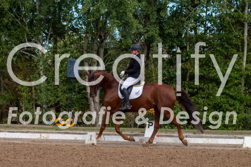 IMG_3747 | Creatify Fotografie