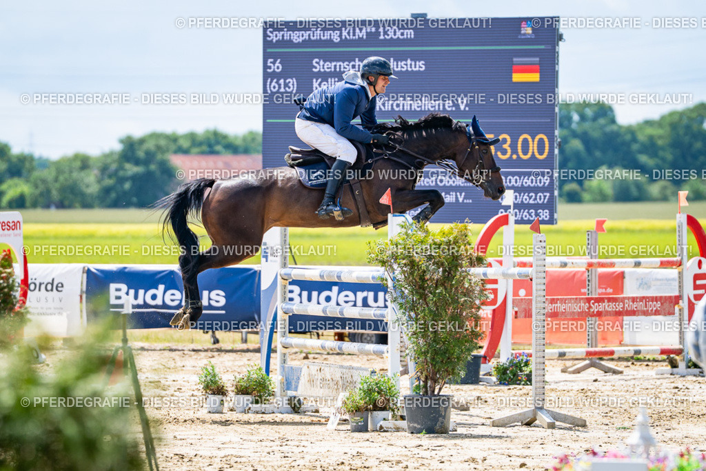 DSC05012 | Pferdegrafie