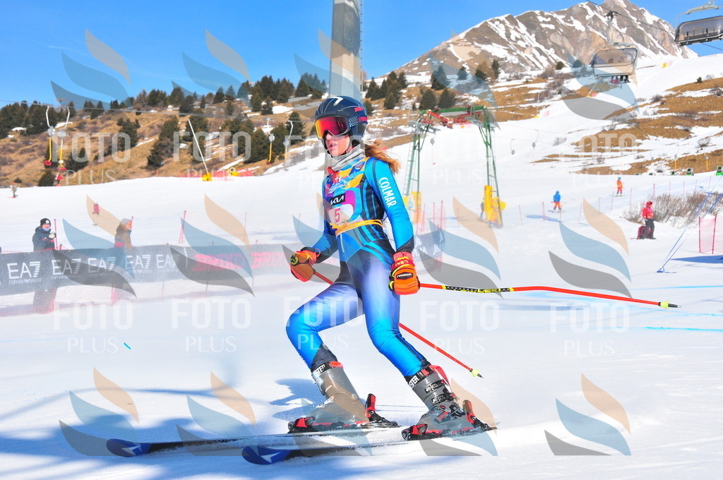 DSC_3701 | holidayphoto