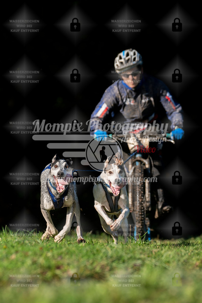 TSB_2023_E7_DS2-5 | PayLife