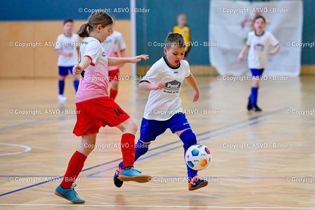 ASVÖ_ Fussballturnier SV Gallneukirchen_ 09.02.2025-34 | 09.02.2025, Gallneukirchen, AUT, ASVÖ, Fussball Nachwuchs Hallenturnier 2025, SV Gallneukirchen im Bild Teilnehmer U 9©Harald Dostal / fodo.media - Realisiert mit Pictrs.com