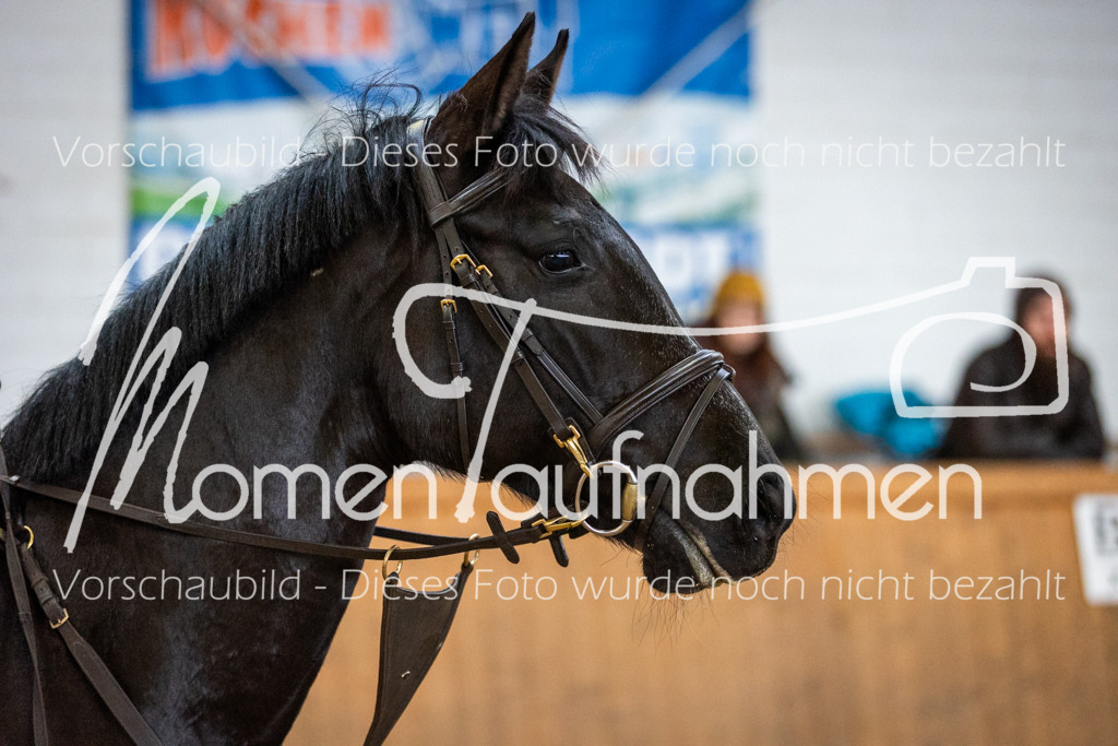 LehrgSth24-077 | MomenTaufnahmen Pferdesportfotos