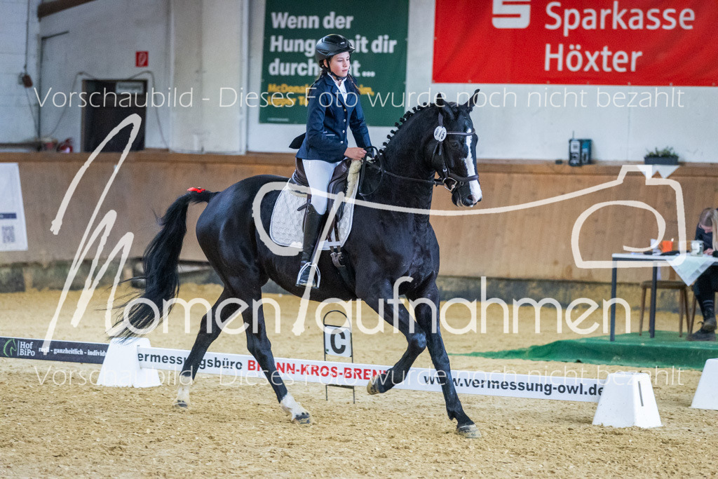 Sth-WBO25-EDr-074 | MomenTaufnahmen Pferdesportfotos