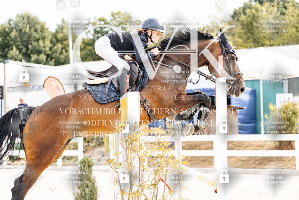 CK901920 | Turnierfotografie Pferdefotografie Trier Rheinland-Pfalz Pferdesport Reitsport Tierfotografie Sportfotografie Pferdevideo Pferdevideografie Equestrianvideography equestrianphotography  - Realisiert mit Pictrs.com